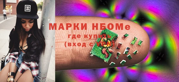 шишки Апатиты