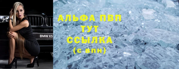 шишки Апатиты