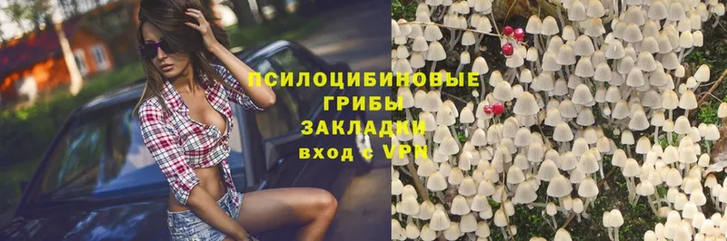 ОМГ ОМГ сайт  Апшеронск  Псилоцибиновые грибы Psilocybe 