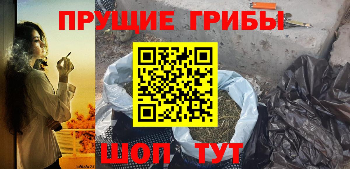 Галлюциногенные грибы мицелий  Галлюциногенные грибы мицелий  Апшеронск  Вход с VPN 