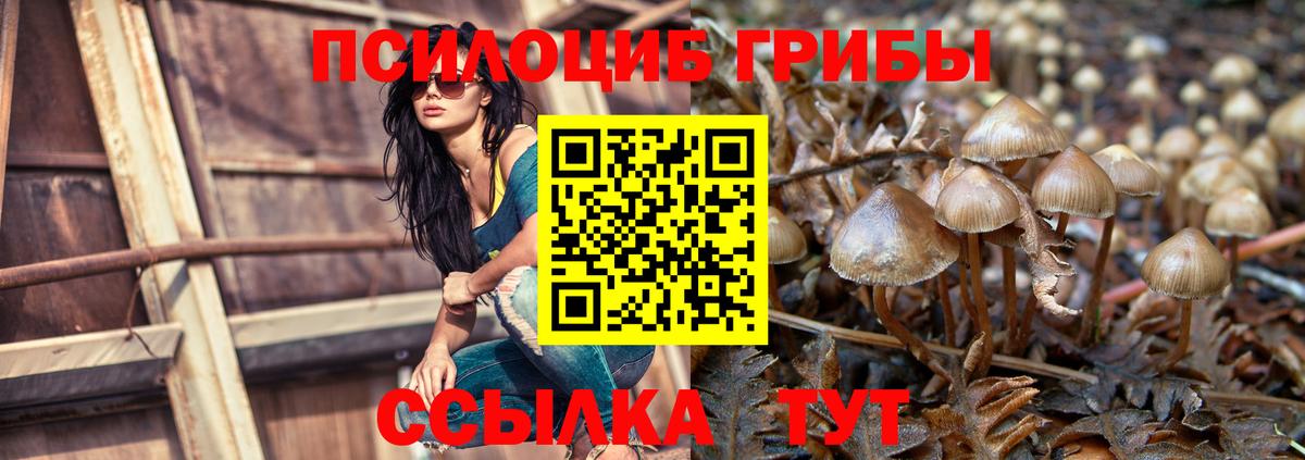 Апшеронск  COCAIN  Гашиш  Меф кристаллы  ГАШИШ  Вход с VPN  МАРИХУАНА 