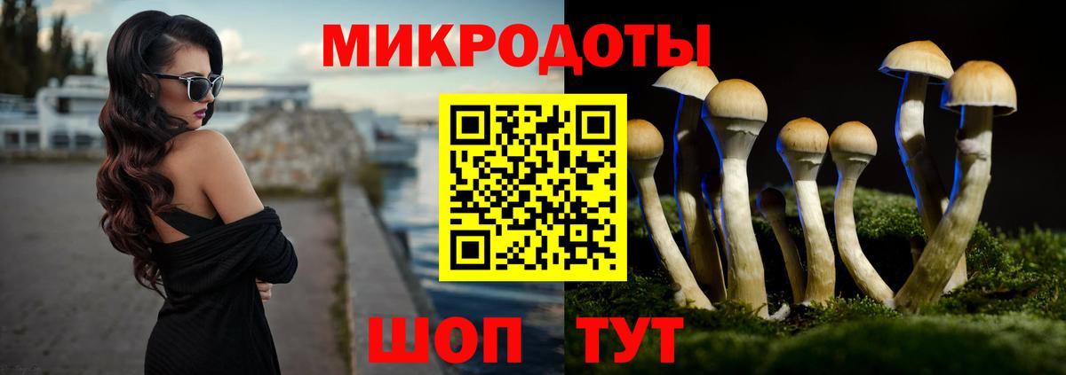 Псилоцибиновые грибы GOLDEN TEACHER  Псилоцибиновые грибы мухоморы  Апшеронск 